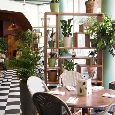 أيبس تورا إيفل كامبرون اي ام اي 15